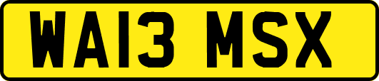 WA13MSX