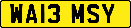 WA13MSY