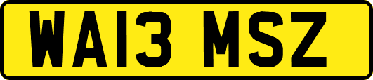 WA13MSZ