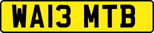 WA13MTB
