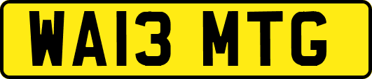 WA13MTG