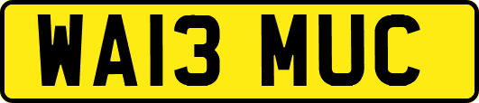 WA13MUC