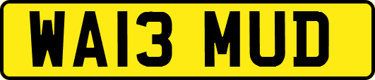 WA13MUD