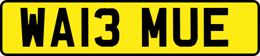 WA13MUE