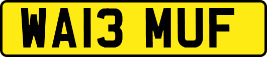 WA13MUF