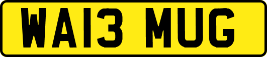 WA13MUG