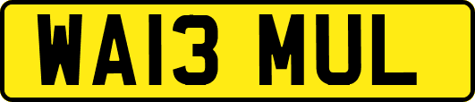 WA13MUL