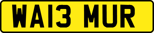 WA13MUR