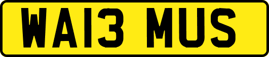 WA13MUS