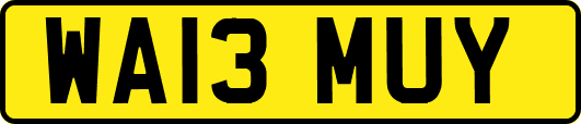 WA13MUY