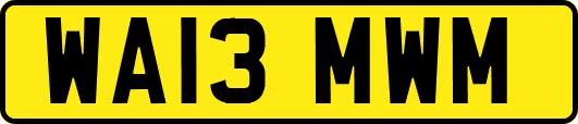 WA13MWM