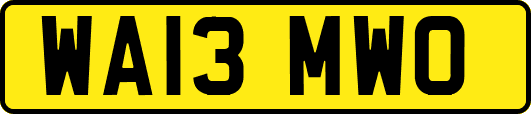 WA13MWO