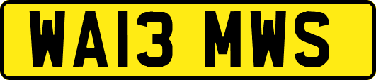 WA13MWS