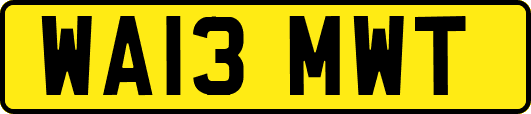 WA13MWT