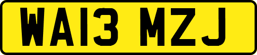 WA13MZJ