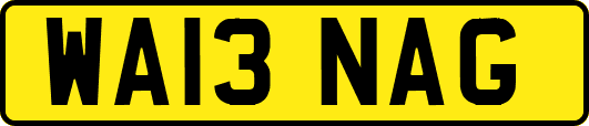 WA13NAG