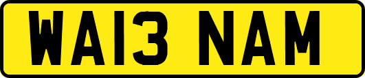 WA13NAM