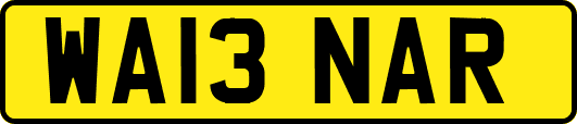 WA13NAR