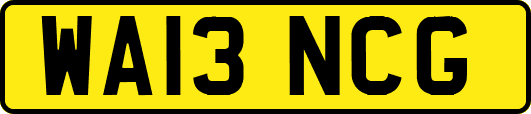 WA13NCG