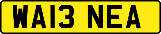 WA13NEA