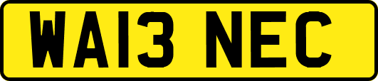 WA13NEC