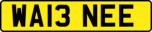 WA13NEE