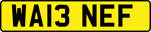 WA13NEF