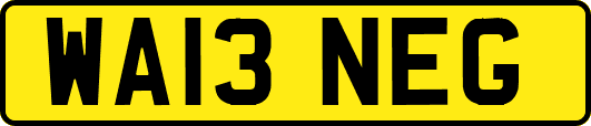 WA13NEG