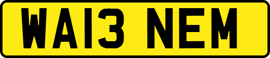 WA13NEM