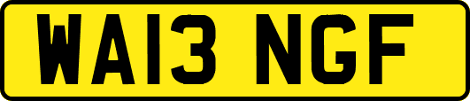WA13NGF