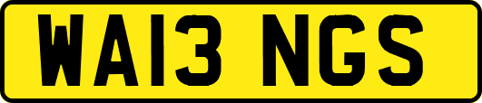 WA13NGS
