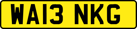 WA13NKG