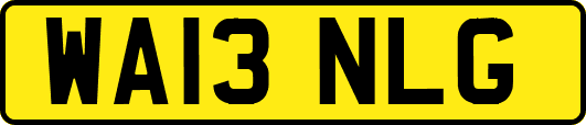 WA13NLG