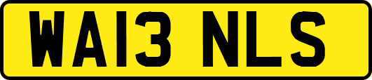 WA13NLS