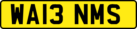 WA13NMS