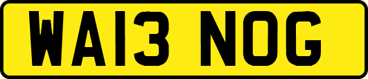 WA13NOG