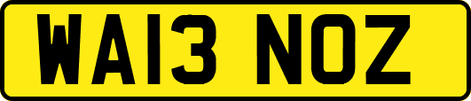 WA13NOZ