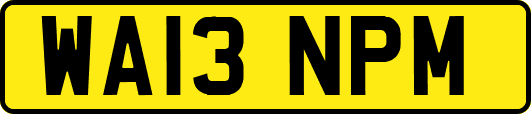 WA13NPM