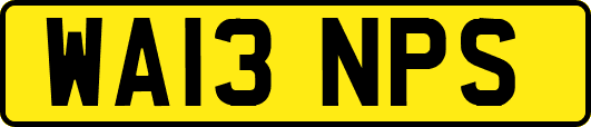 WA13NPS