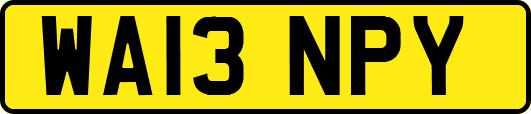 WA13NPY