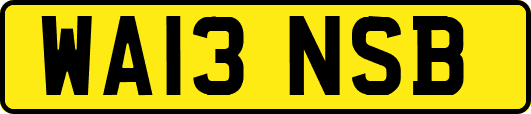 WA13NSB