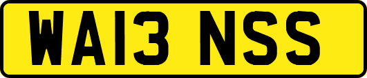 WA13NSS