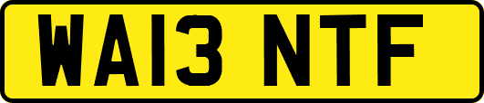 WA13NTF