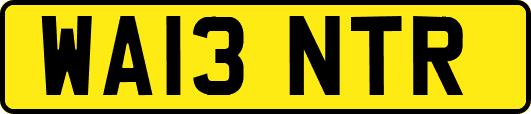 WA13NTR