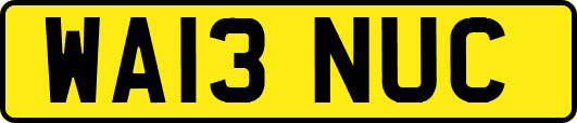 WA13NUC