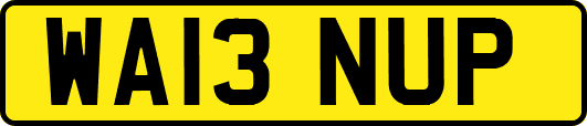 WA13NUP