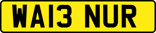 WA13NUR