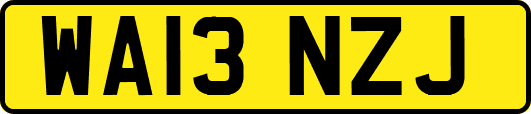 WA13NZJ