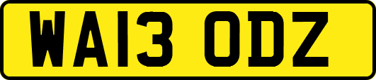 WA13ODZ