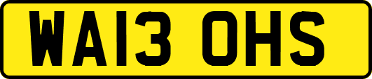 WA13OHS